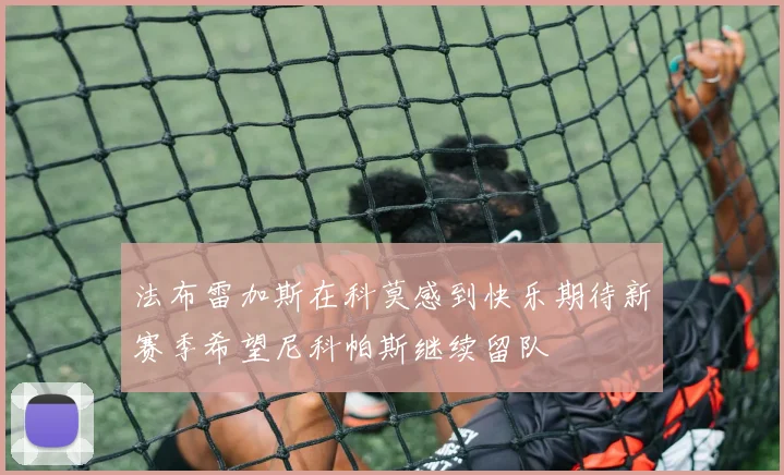 法布雷加斯在科莫感到快乐期待新赛季希望尼科帕斯继续留队