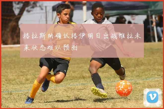 格拉斯纳确认格伊明日出战维拉未来状态难以预测